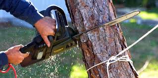 Best Utility Line Clearance  in Greenacres, CA