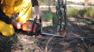 Best Weed Control  in Greenacres, CA